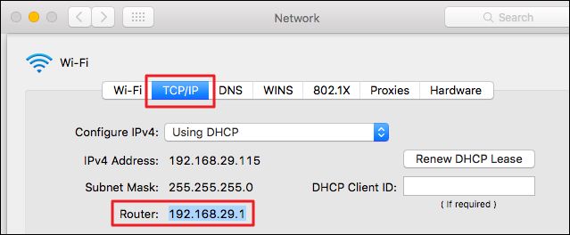 Check IP address on Mac