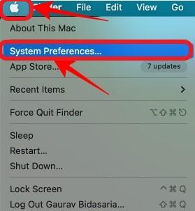 Access System Preferences